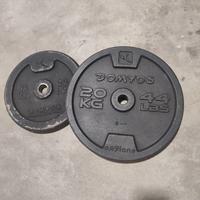 DUE Dischi in ghisa per esercizi palestra Domyos