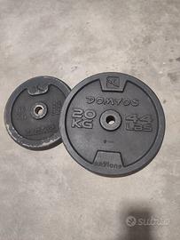 DUE Dischi in ghisa per esercizi palestra Domyos