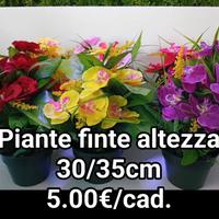 piante finte