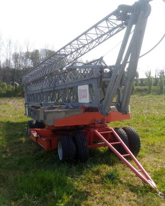 Gru Benedini usata B824