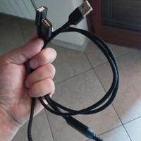 Due (2) cavetti Usb