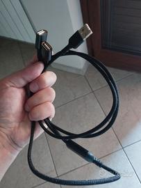 Due (2) cavetti Usb