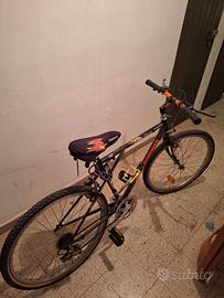 Mountain bike