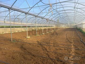 Azienda Agricola - Partinico