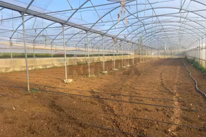 Azienda Agricola - Partinico