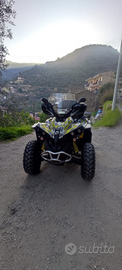 Quad Canam renegade 650