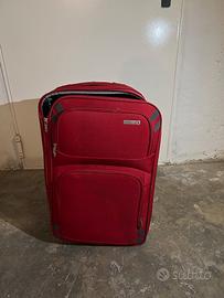Valigia Roncato rossa media