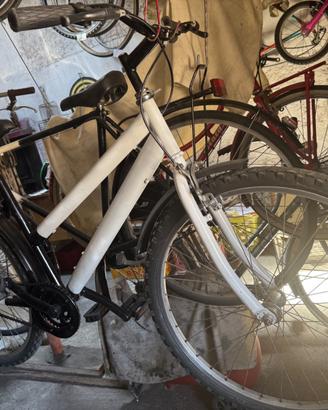 Bicicletta
