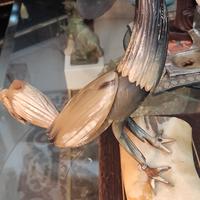 antica scultura gallo