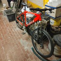 Bicicletta MTB