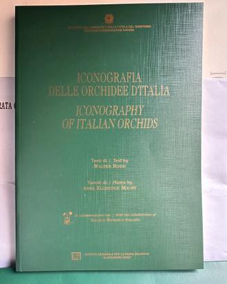 Iconografia delle Orchidee