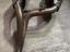 Immagine 2