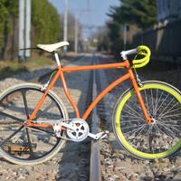 Bici a scatto fisso-single speed