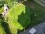 Immagine 20