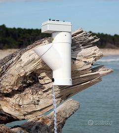 Tritasarde pesca mare temporizzato