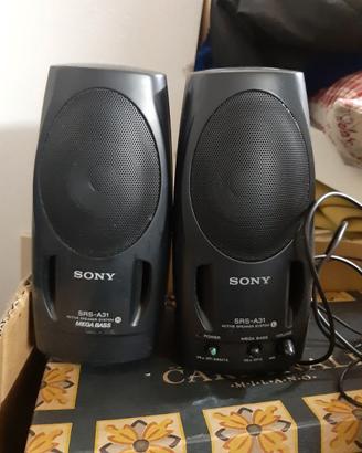 Casse sony srs a31
