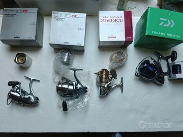 canna da pesca bolognese e mulinelli daiwa