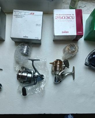 canna da pesca bolognese e mulinelli daiwa