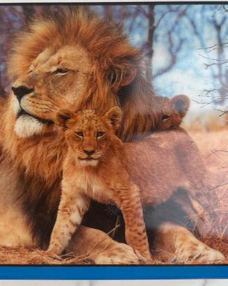 Puzzle 500 pezzi