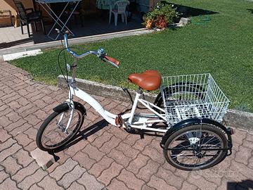 bicicletta a tre ruote 