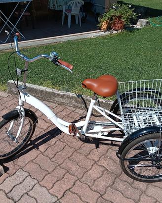 bicicletta a tre ruote 