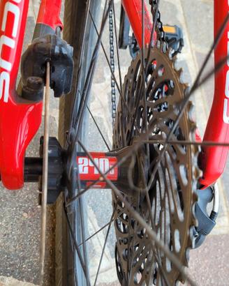 Mtb focus raven
