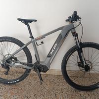 Mountain e-bike