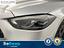 Immagine 11