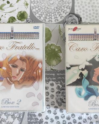 DVD Caro Fratello Yamato Video (Limited Edition) 