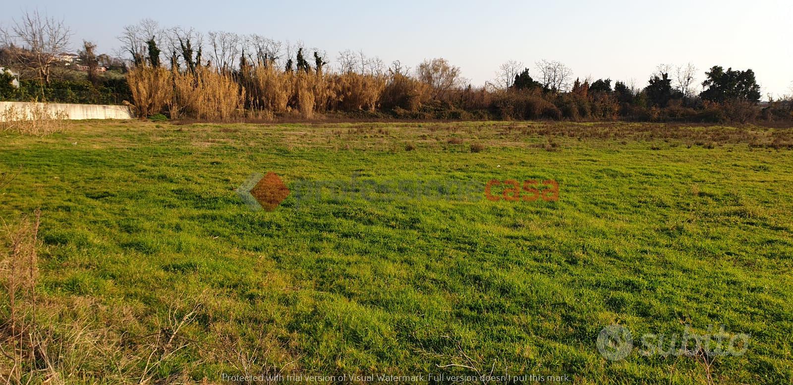 Pontecagnano faiano- terreno agricolo - Vista 2