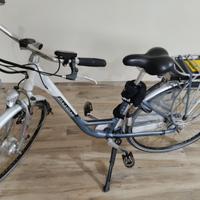 Bicicletta elettrica