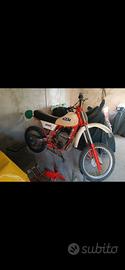 ktm 250