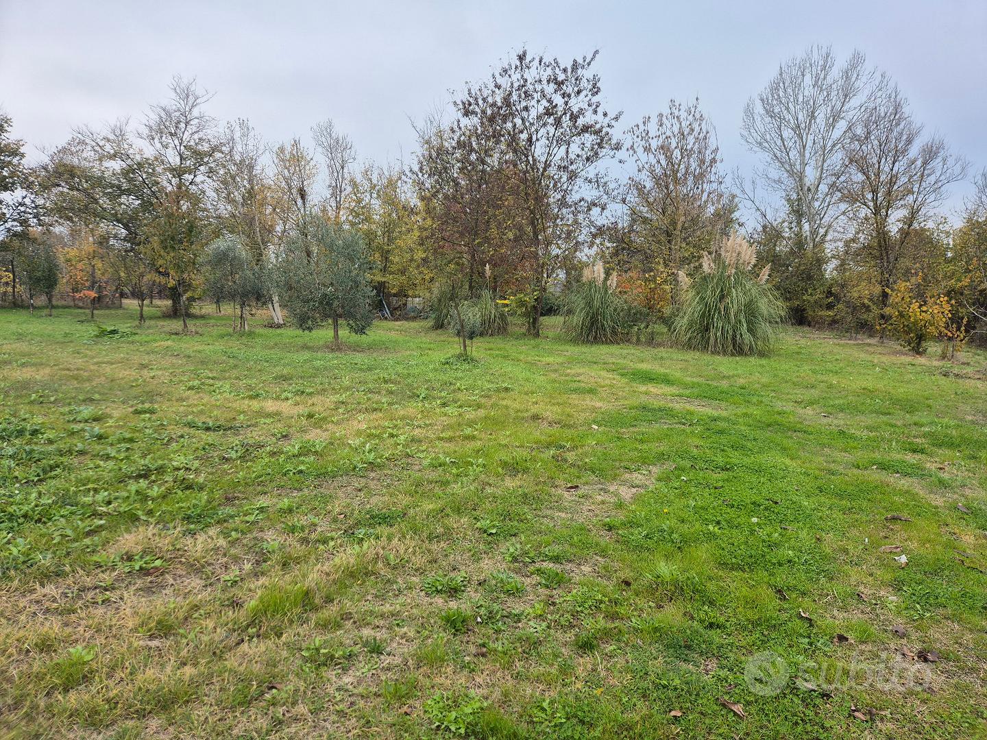 Terreno agricolo - Vista 3