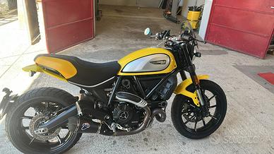 Ducati scrambler 800 icon