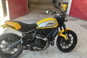 Ducati scrambler 800 icon