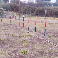 Attrezzi agility dog