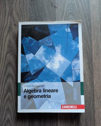 Algebra lineare e geometria Schlesinger