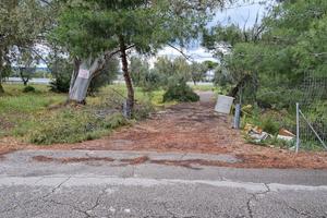 Terreno sulla S.S. 106 TA-RC