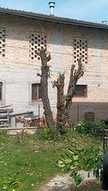 legna da ardere 
