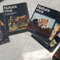 Natura viva riviste enciclopedia regno animale