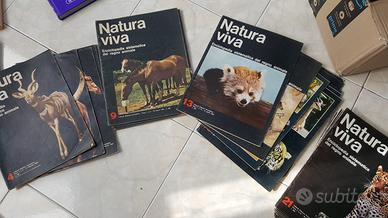 Natura viva riviste enciclopedia regno animale