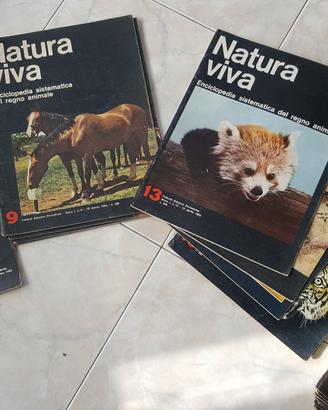 Natura viva riviste enciclopedia regno animale