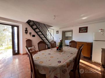 CASA INDIPENDENTE A ARPINO