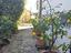 Immagine 29