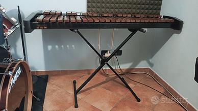 Xilofono da tavolo Bergerault performer 3.5 Ottave