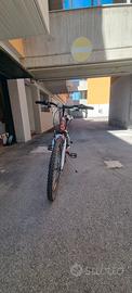mtb 24 pollici