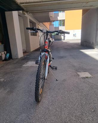 mtb 24 pollici
