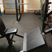 Squat Machine + Viking Press Kings Gym