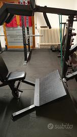 Squat Machine + Viking Press Kings Gym