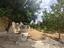 Immagine 26